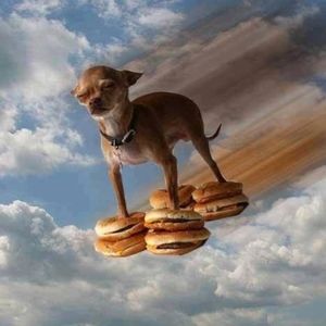 Meet your Posher, Neptune